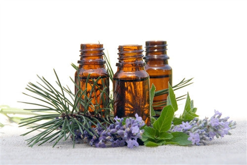 Rosemary, Rosmarinus Officinalis 10 ml - Emz Blendz