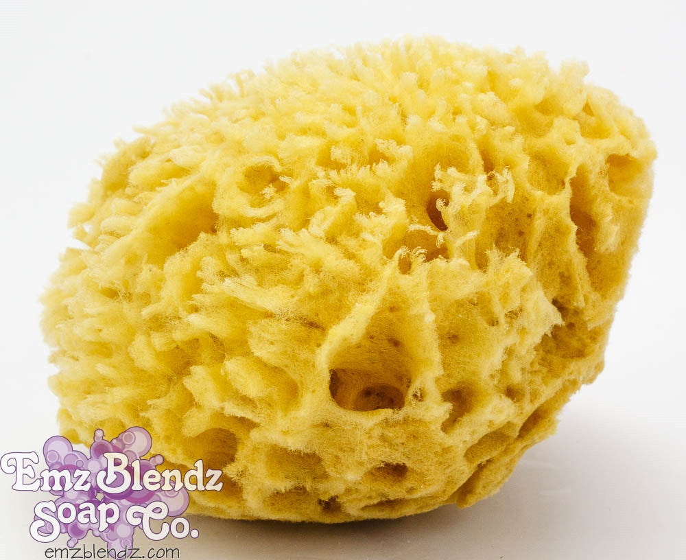 Sea Wool Sponge - Emz Blendz