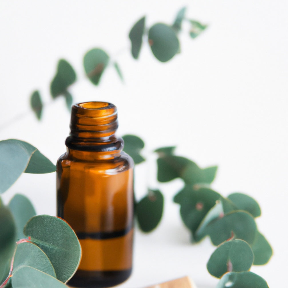 Eucalyptus, Eucalyptus Globulus