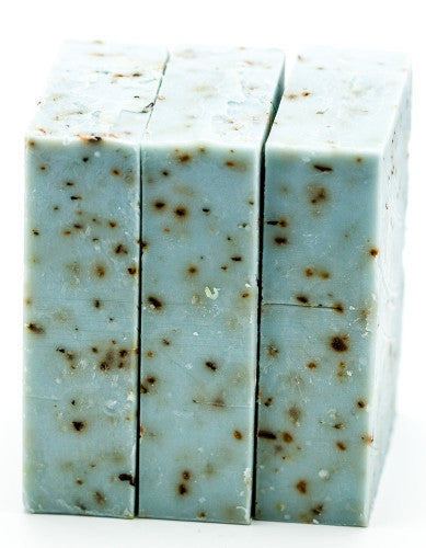 Eucalyptus Tea Tree Soap Bar | Natural Healing & Antiseptic Cleanser    Em'z Blendz Soap Co.