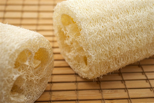 Natural Loofah Sponge - Emz Blendz