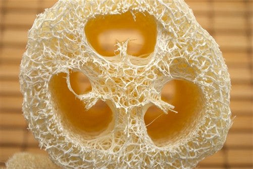 Natural Loofah Sponge | Ultimate Exfoliation    Em'z Blendz Soap Co.