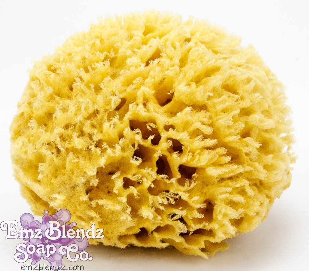Wool Sea Sponge - Emz Blendz Soap Co.